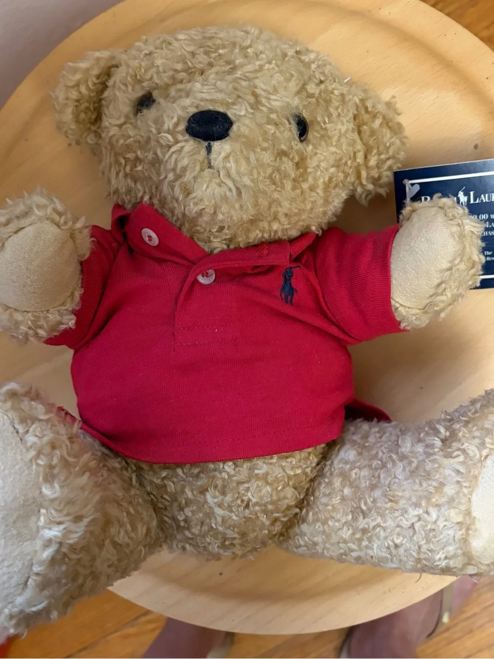 Vintage Ralph Lauren Red Polo Teddy Bear Plush Curly Hair Articulated Limbs NWT